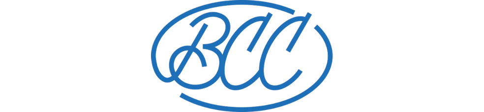 All-Russian Union of Insurers